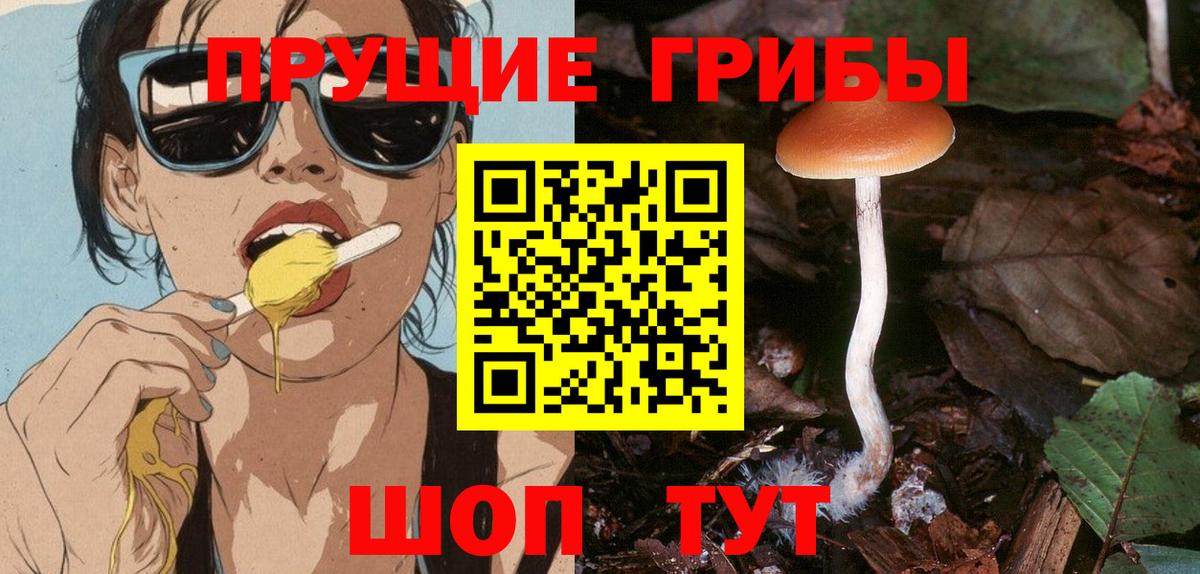 Галлюциногенные грибы мицелий Глазов