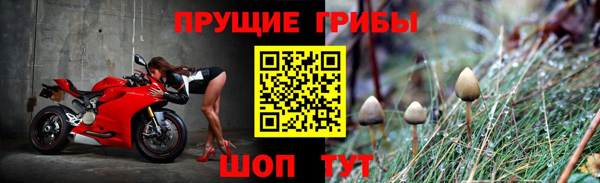 Глазов  Псилоцибиновые грибы MAGIC MUSHROOMS  Псилоцибиновые грибы Psilocybe  Вход с VPN 