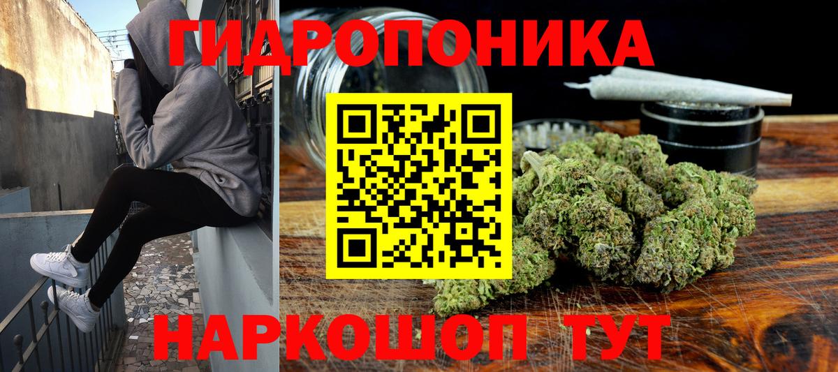 Марихуана гибрид Глазов
